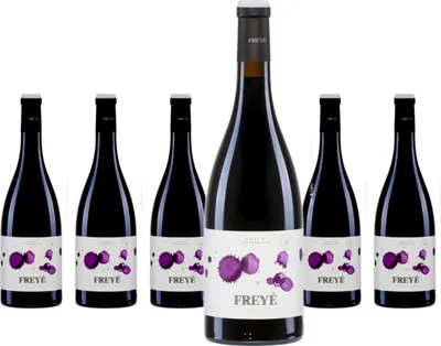 Produktbild von 6 x Vallformosa Freyé Syrah Tempranillo