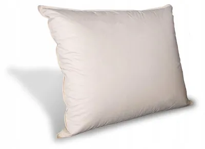Produktbild von Gänsedaunen-Kissen 60% Daunen 40x60 cm Niedrig