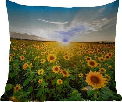 Produktbild von MuchoWow® Outdoor Kissen - Sonnenuntergang - Blumen - Sonnenblume - Horizont - Landschaft - 60x60 cm - Wetterfest - Lounge Kissen - Dekoration - Schlaf Kissen