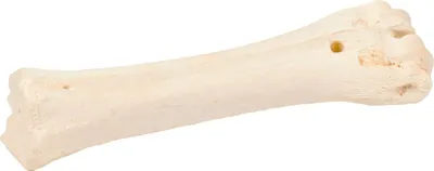 Produktbild von Duvo+ BONES! Rinderknochen Kalzium