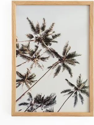 Immagine prodotto di Cornici per foto in legno di quercia naturale, 21x30 cm, ideali per esporre fotografie e per la decorazione della parete
