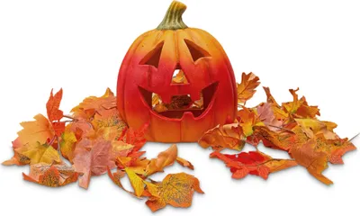 Produktbild von XXL Halloween-Kürbis Set 28 cm groß mit Herbstgirlande und LED-Teelicht