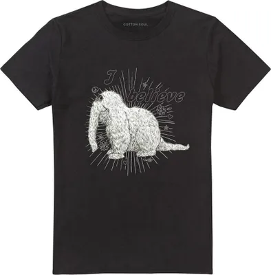 Produktbild von Sesame Street - "I Believe" T-Shirt für Herren/Damen Uni TV21497 (M) (Schwarz)