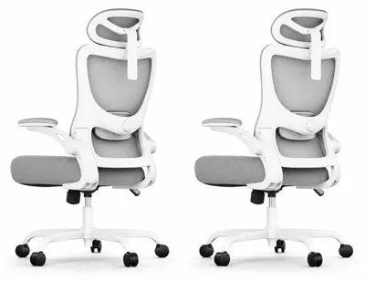 Productafbeelding van Marsail ergonomische bureaustoel: bureaustoel met hoge rugleuning en mesh-materiaal