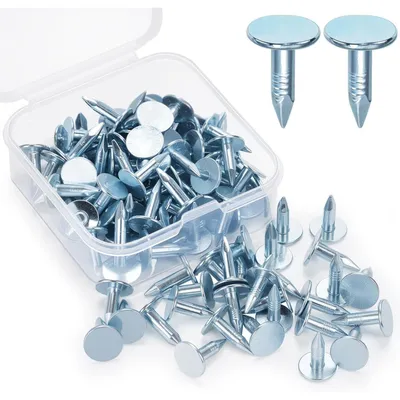 Productafbeelding van Bitumenplanknagels, vilnagels, verzinkte legering, diameter 0,9 cm, lengte 1,3 cm, 100 stuks