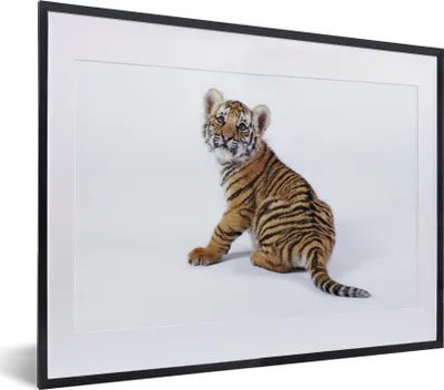 Produktbild von MuchoWow® MuchoWow® Gerahmtes Poster Jungtier - Tiger - Tier 40x30 cm - Poster mit zchwarzem Bilderrahmen - Bilderrahmen - Poster im Rahmen