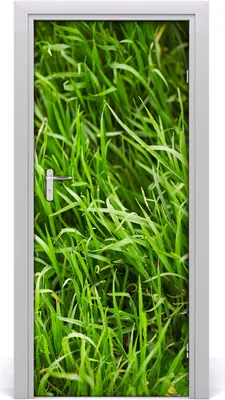 Produktbild von Tulup Türaufkleber 85x205 cm Dekorative Aufkleber Selbstklebend Wasserdichte Tapete Abnehmbar Schlafzimmer Wohnzimmer Wohnkultur - Wand Gras