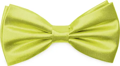 Produktbild von Ladeheid Elegante Herren Fliege -Hochwertig Glänzend Verstellbar BMS (12cmx6cm)