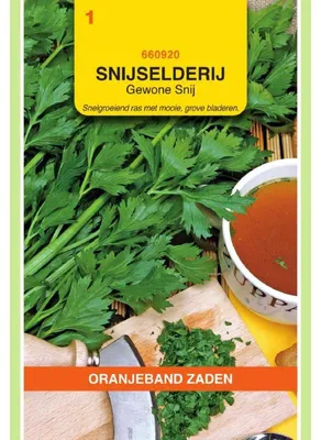 Imagen del producto de Oranjeband: Apio de nabo (variedad común). 1 paquete de semillas
