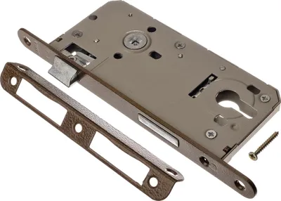 A lock mechanism and its strike plate are shown on a white background.