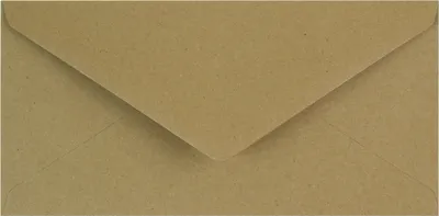Image de Enveloppes kraft écologiques 90g DL 10pcs no 69