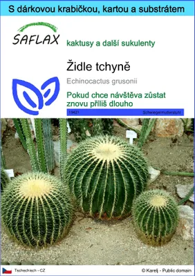 Obrázek produktu pro SAFLAX Dárková sada - židle tchyně - Echinocactus grusonii - 40 Semena - S dárkovou krabičkou, přepravním štítkem, dárkovou kartou a pěstebním médiem