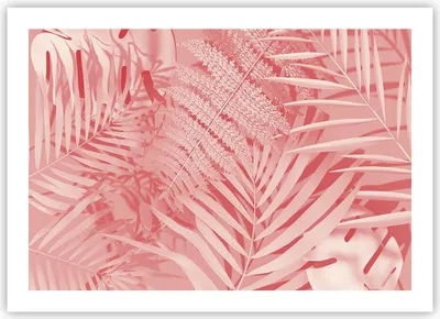 Produktbild von Poster - Poster ohne Rahmen - Rosa Blätter Palmen - 70x50 cm - Wand Bild - Wanddeko - Wandbilder - Kunstposter - Wandposter - Bilder - Kunstdruck - Wanddekoration - Wandbild - P2XAA70x50-4745