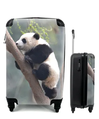 Produktbild von MuchoWow® Koffer Handgepäck Trolley Rollkoffer Kleine Reisekoffer mit 4 Rollen - Panda - Tier - Baum - Cabin Size < 55x40x23 cm & 55x40x20 cm - Fotokoffer - Kabinenkoffer - Boardgepäck - Reise-Box - Reisekoffer - Reisegepäck - Koffer mit Bild - Trolley für Kinder