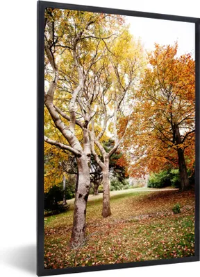 Produktbild von MuchoWow® Gerahmtes Poster Herbst - Bäume - Laub - Natur 40x60 cm - Poster mit Schwarzem Bilderrahmen Wandposter Rahmen Foto Bilder - Papierdruck - Wandbilder