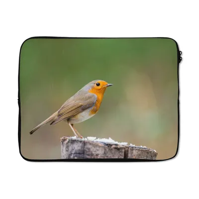 Produktbild von MuchoWow® Laptop Hülle 15 Zoll Tiere - Vogel - Rotkehlchen Laptoptasche - Laptoptasche - Sleeve - Rundum-Schutz