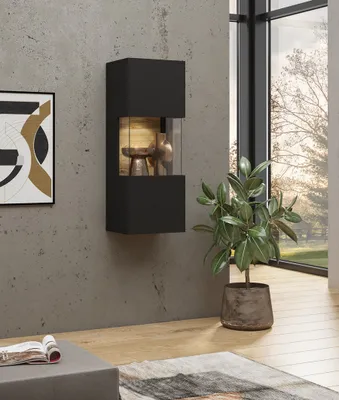 A modern living room with a black wall-mounted display cabinet, a large window, and a potted plant.