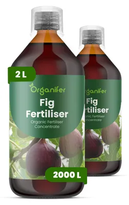 Obrázok produktu pre Fig Tekuté hnojivo 2x1 L – 2-1-8 (NPK) – Pre figy a ovocné rastliny – Podporuje silný rast, zdravé listy a kvalitu plodov – Organický produkt