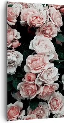 Produktbild von Bild auf Leinwand - Leinwandbild - Einteilig - Rosen Blumen Blätter - 65x120cm - Wand Bild - Wanddeko - Wandbilder - Leinwanddruck - Bilder - Wanddekoration - Leinwand bilder - PA65x120-4760