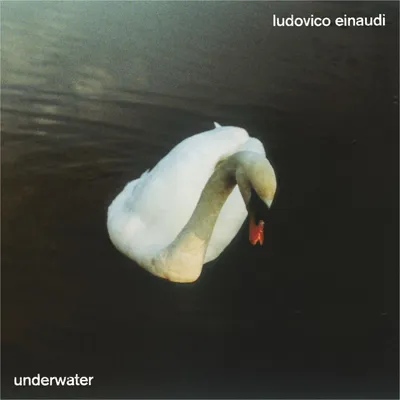 Produktbild von Ludovico Einaudi - Underwater (2 LP)