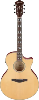 Produktbild von Ibanez Ae170-Ntr