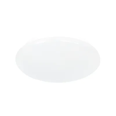 A white, oval-shaped ceiling light fixture is shown against a white background.