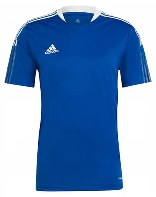 Image de Adidas - Maillot « Tiro 21 » pour homme - Entraînement MR1304 (M) (bleu)