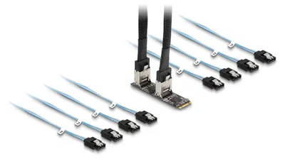 Productafbeelding van Delock converter: M.2 2280, aansluiting B+M, naar 8 x SATA