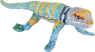 Produktbild von Wild Republic - Kuscheltier - Coilkins - Halsbandleguan