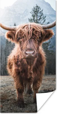 Produktbild von MuchoWow® Poster Schottischer Hochländer - Kuh - Tiere - Berg - Natur 60x120 cm - Wandschmuck
