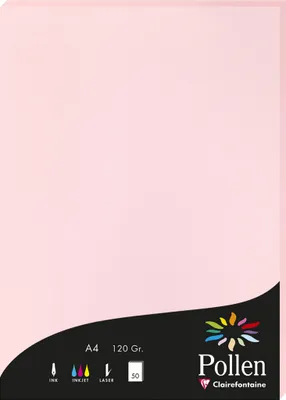 Produktbild von Pollen 10x Papier A4 Pollen 120g 50 Blatt - Rosa 4281C