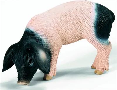 Produktbild von SCHLEICH 13635 - Ferkel, fressend