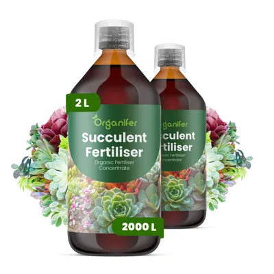 Produktbild von Flüssigdünger Für Sukkulenten 2x1L – 2-1-8 NPK – Flüssig-Pflanzendünger Für Sukkulenten – Organifer