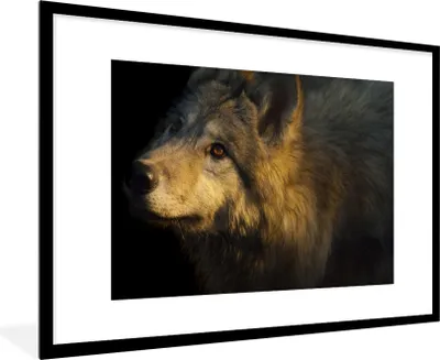 Produktbild von MuchoWow® Gerahmtes Poster Wolf - Gold - Sonne 90x60 cm - Poster mit Schwarzem Bilderrahmen Wandposter Rahmen Foto Bilder - Wanddekoration - Fotos