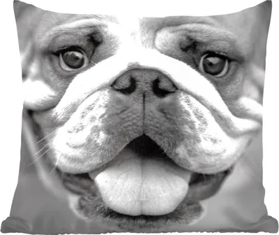 Produktbild von MuchoWow® Zierkissen Sofakissen Wohnzimmer Dekokissen 45x45 cm Tierprofil Bulldogge in schwarz und weiß - Schlafpolster - Polster für das Sofa