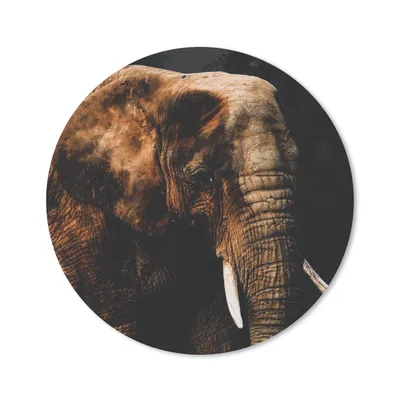 Produktbild von MuchoWow® Mauspad Mousepad Elefant - Tiere - Braun 50x50 cm - Mousepads - Maus Mat - Pad - Mausunterlage - Vinyl