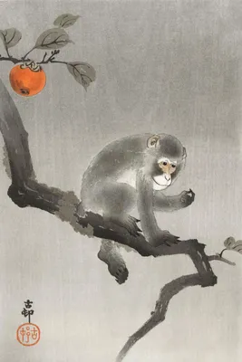 Produktbild von Plakat 20x30cm Affe 3, Japanischer Vintage Koson für das Wohnzimmer