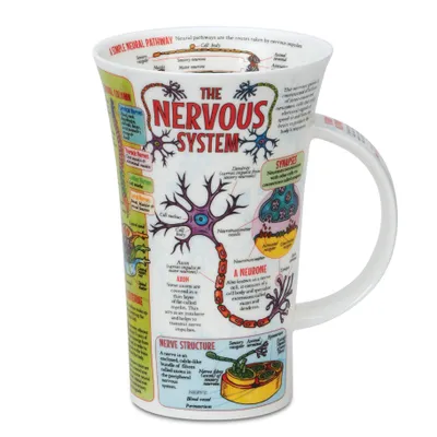 Produktbild von DUNOON Jumbobecher, Tasse Glencoe Nervous System Nerven 500ml Formano