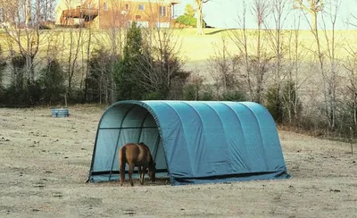 Obrázek produktu pro ShelterLogic Stan na pastvině s výběhem 380 x 728 cm zelený