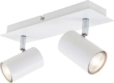 A white ceiling light fixture with two adjustable spotlights.