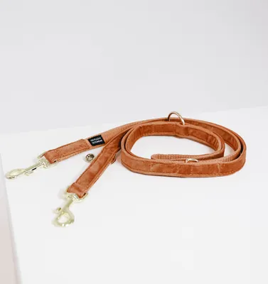 Obrázok produktu pre Kentucky Dogwear Zamatové vodítko pre psov 2 m