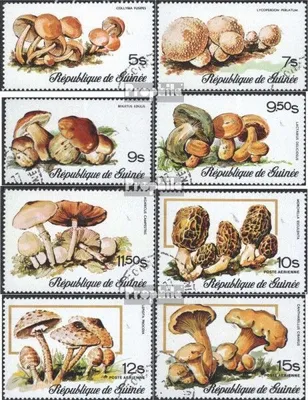 Produktbild von Briefmarken Guinea 1977 Mi 759A-766A (kompl.Ausg.) gestempelt Pilze