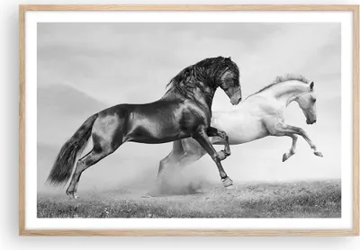 Produktbild von Gerahmtes Poster - Rahmen in heller Eiche - Pferde Tiere Galopp Wiese - 91,5x61 cm - Wand Bild - Wanddeko - Wandbilder - Wandposter - Bilderrahmen - Bilder - Kunstdruck - Wandbild - P2NAA91x61-2683