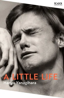 Produktbild von A Little Life