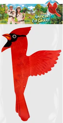 Immagine prodotto di "WABENBALL ROTER KARDINAL" 42 cm