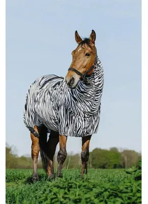 Image de Equithème Riding World Zebra Anti-Ekzemerdecke