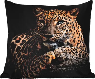 Produktbild von MuchoWow® Outdoor Kissen - Wildtiere - Panther - Porträt - Schwarz - Tiere - 60x60 cm - Wetterfest - Lounge Kissen - Dekoration - Schlaf Kissen