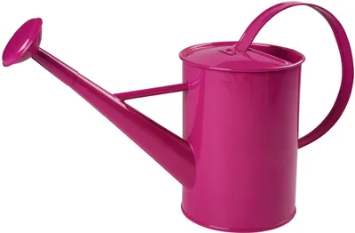 Produktbild von Freund Victoria Deko-Gießkanne 1,75 L Metall bunt