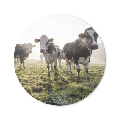 Produktbild von MuchoWow® Mauspad Mousepad Kuh - Gras - Nebel 30x30 cm - Mousepads - Maus Mat - Pad - Mausunterlage - Tischunterlage - Schreibtischmatten