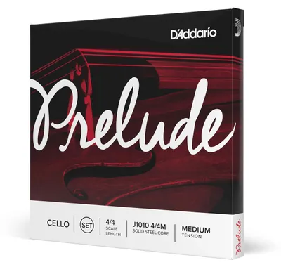 Immagine prodotto di D'Addario J1010 4/4M, Violino, Acciaio, Classico, 4 pezzi